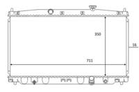 Wilmink Group WG1723613 Радіатор охолодження двигуна