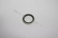 Automega 190064610 Прокладка оливозливної пробки