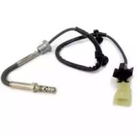Wilmink Group WG1748710 Temperature sensor