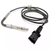Wilmink Group WG1748740 Temperature sensor