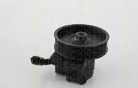 Triscan 851516634 Насос гідропідсилювача керма