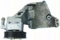 Triscan 851524612 Steering pump