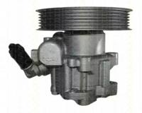 Triscan 851565613 Steering pump