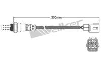 Walker Products 250-24924 Oxygen sensor