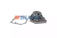 Auger 57711 Water pump