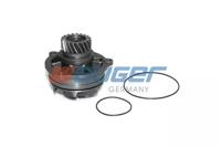 Auger 57797 Water pump