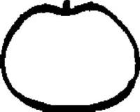 Wilmink Group WG1247353 Прокладка впускного коллектора Wilmink Group WG1247353 Прокладка впускного коллектора