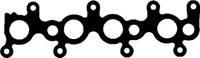 Wilmink Group WG1249096 Прокладка впускного колектора Wilmink Group WG1249096 Прокладка впускного колектора