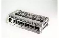 Wilmink Group WG1200134 Головка блоку циліндрів