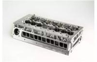 Wilmink Group WG1200136 Головка блоку циліндрів