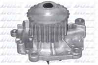 Dolz R301 Water pump