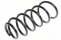 Triscan 875011139 Пружина підвіски