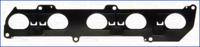 Wilmink Group WG1451229 Gasket manifold