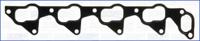 Wilmink Group WG1451306 Gasket graphite Wilmink Group WG1451306 Gasket graphite