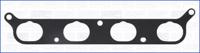 Wilmink Group WG1451402 Gasket graphite