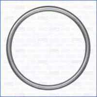 Wilmink Group WG1451924 Прокладка труби вихлопного газу Wilmink Group WG1451924 Прокладка труби вихлопного газу