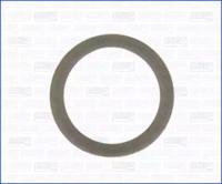 Wilmink Group WG1452018 Прокладка оливозливної пробки