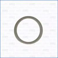 Wilmink Group WG1452019 Pignon