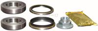 Jp Group 3841300519 Wheel bearing