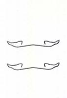 Triscan 8105161617 Spring set disc brake