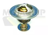 Motaquip VTS245 Original