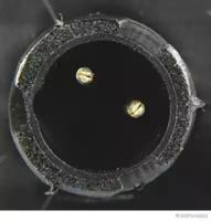 Elparts 83700003 Ліхтар покажчика повороту