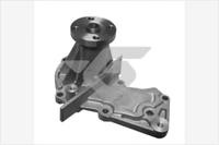 Hutchinson WP145 Water pump