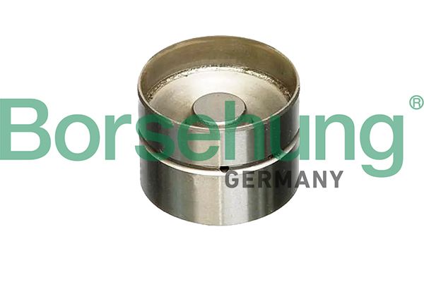 Borsehung B18837 Штовхач клапана