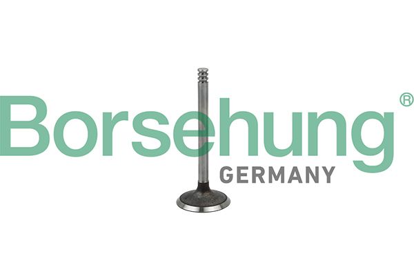 Borsehung B18998 Autopart Borsehung B18998 Autopart