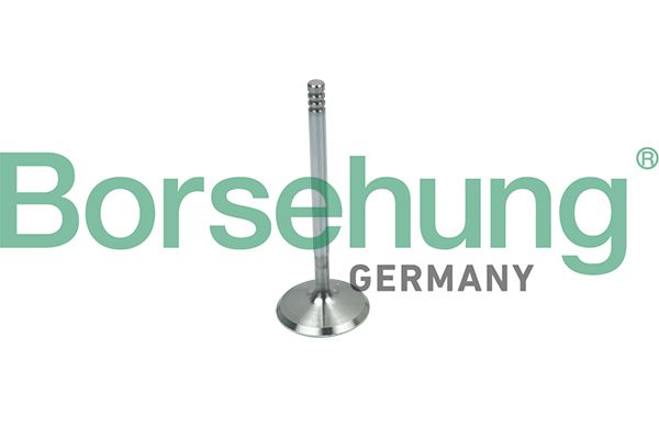 Borsehung B19018 Autopart Borsehung B19018 Autopart