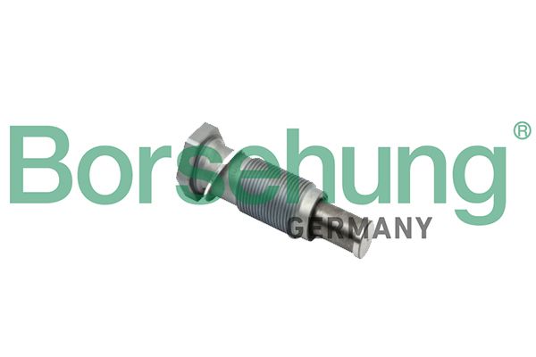 Borsehung B1T002 Tensioner assy pulley Borsehung B1T002 Tensioner assy pulley