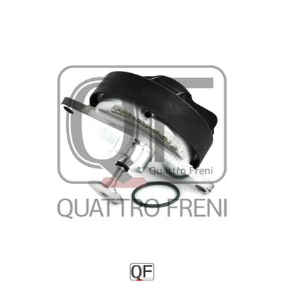 Quattro Freni QF47A00067 EGR valve Quattro Freni QF47A00067 EGR valve