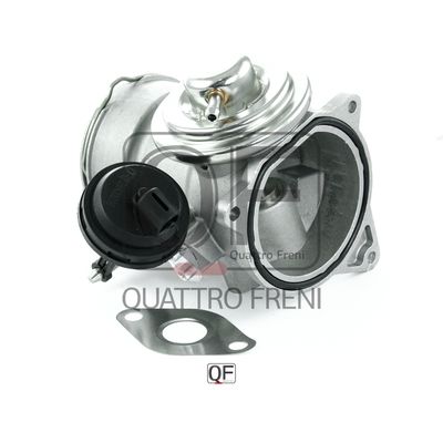 Quattro Freni QF28A00010 EGR valve