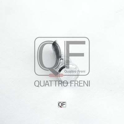 Quattro Freni QF10D00019 Гайка колесная