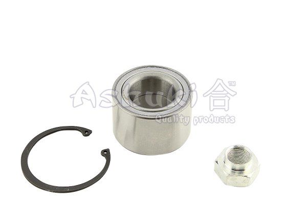 Ashuki K800-06 Wheel bearing