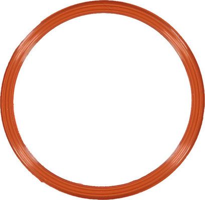 Glaser X90134-01 Прокладка впускного колектора