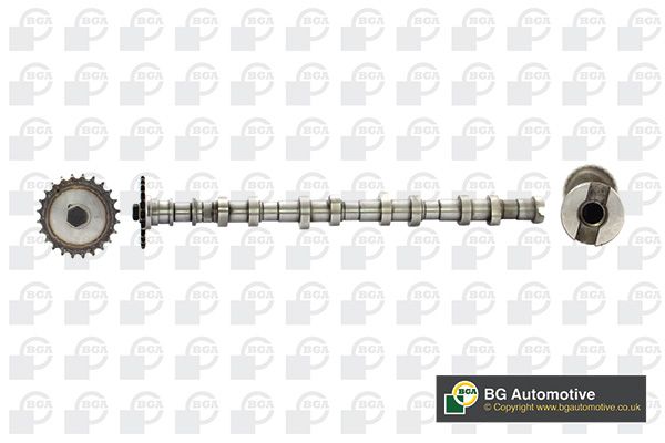 BGA CS3600 Розпредвал BGA CS3600 Розпредвал