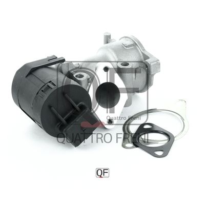 Quattro Freni QF28A00016 EGR valve