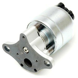 Delphi EG10031 EGR valve