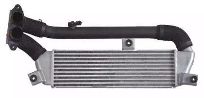 Wilmink Group WG1723887 Інтеркулер Wilmink Group WG1723887 Інтеркулер