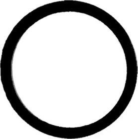 Glaser X87172-01 Gasket graphite