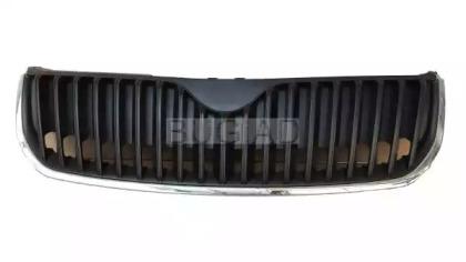 Bugiad BSP23834 Grille assy radiator Bugiad BSP23834 Grille assy radiator