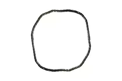 Bugiad BSP24574 Ланцюг приводу розподільного валу