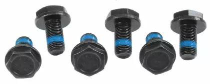 Sachs 3096 005 000 Screw Sachs 3096 005 000 Screw