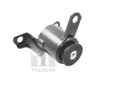 Tedgum TED20173 Insulator engine mounting Tedgum TED20173 Insulator engine mounting