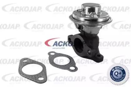 Ackojap A53-63-0002 EGR valve