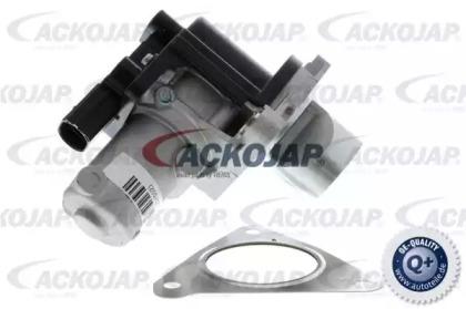 Ackojap A53-63-0003 EGR valve