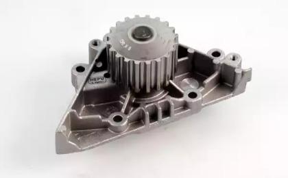 Hepu P894 Water pump