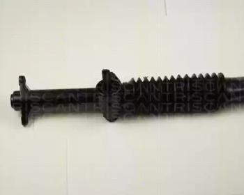 Triscan 851029300 Рейка рульова Triscan 851029300 Рейка рульова