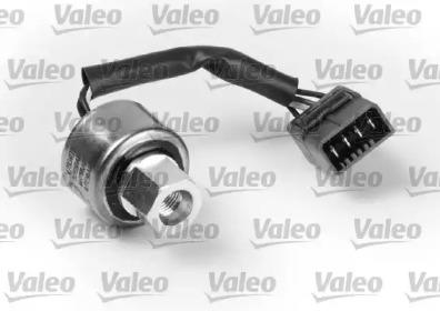 Valeo 509483 Valve assy-expa
